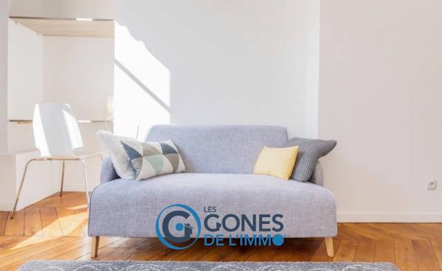 Achat Immobilier Lyon Rhone Les Gones De L Immo